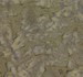 Batik - Tonal Blend - ABS026-Cocoa